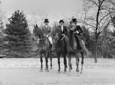Cutting hunt, 1933 Nov. Creator: Arnold Genthe