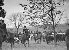 Cutting hunt, 1933 Nov. Creator: Arnold Genthe
