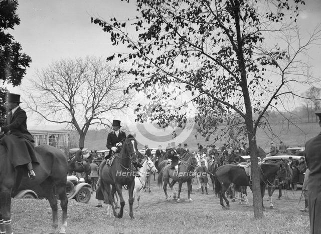 Cutting hunt, 1933 Nov. Creator: Arnold Genthe.