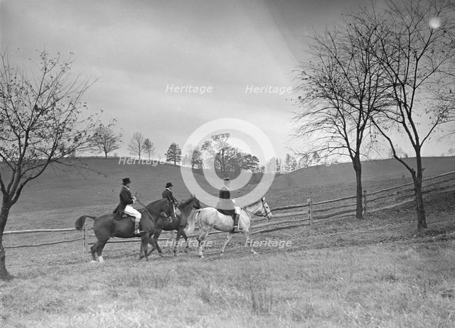 Cutting hunt, 1933 Nov. Creator: Arnold Genthe.