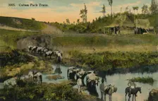 Cuban Pack Train c1910