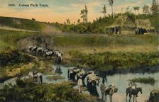 Cuban Pack Train c1910