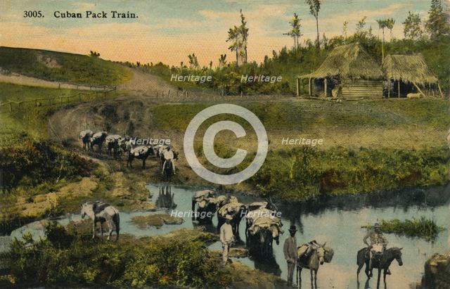'Cuban Pack Train', c1910. Artist: Unknown.