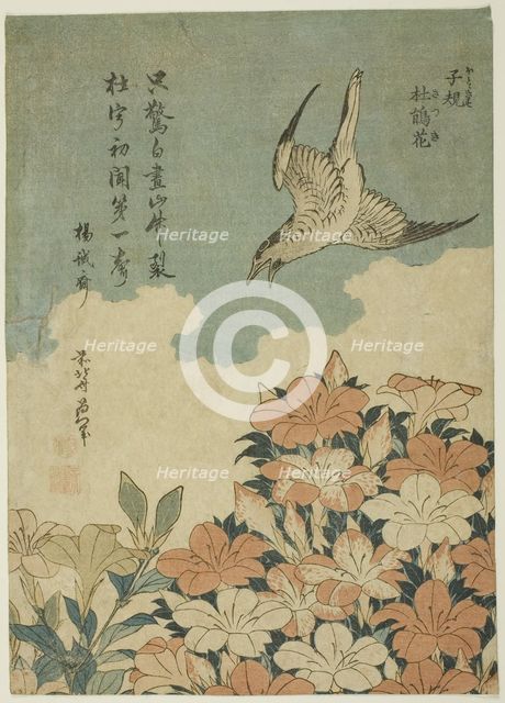 Cuckoo and Azaleas (Hototogisu, satsuki), Japan, c. 1834. Creator: Hokusai.