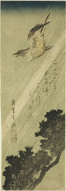 Cuckoo flying in rain, early 1830s. Creator: Ando Hiroshige