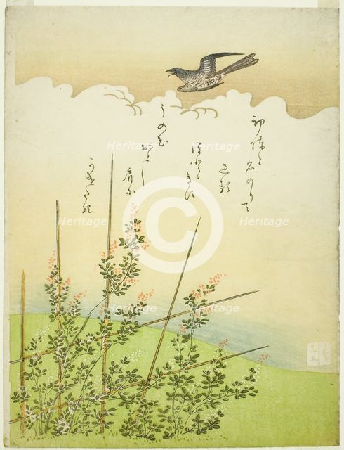 Cuckoo flying over deutzia flowers, Japan, c. 1766. Creator: Komatsuya Hyakki.