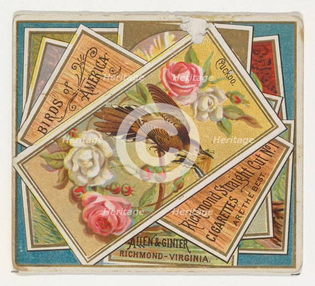 Cuckoo, from the Birds of America series (N37) for Allen & Ginter Cigarettes, 1888. Creator: Allen & Ginter.