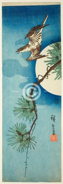 Cuckoo, pine branch, and full moon, c. 1843/47. Creator: Ando Hiroshige.