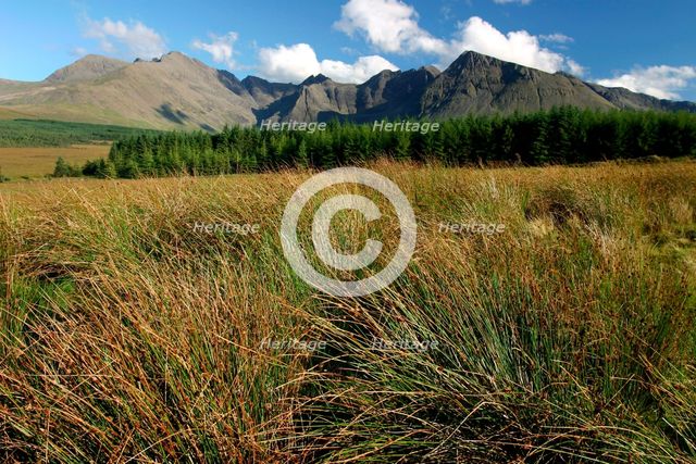 Cuillin Hills from Glen Brittle, Isle of Skye, Highland, Scotland. Creator: Peter Thompson.