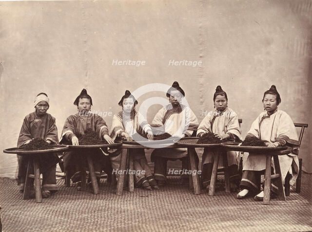 Culling Tea, ca. 1869. Creator: Attributed to Lai Fong.