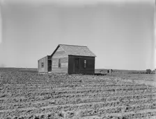 Cultivated fields and abandoned tenant house, Hall County, Texas, 1937. Creator: Dorothea Lange