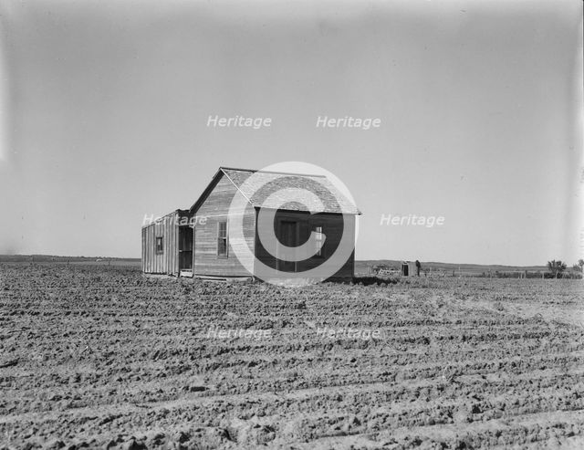 Cultivated fields and abandoned tenant house, Hall County, Texas, 1937. Creator: Dorothea Lange.
