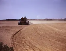 Cultivating a field, Seabrook Farm, Bridgeton, N.J., 1942. Creator: John Collier