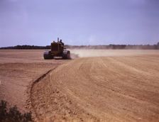 Cultivating a field, Seabrook Farm, Bridgeton, N.J., 1942. Creator: John Collier