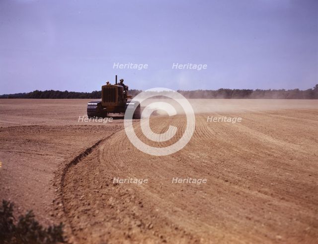 Cultivating a field, Seabrook Farm, Bridgeton, N.J., 1942. Creator: John Collier.