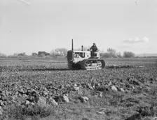 Cultivating potato field, California, 1939. Creator: Dorothea Lange