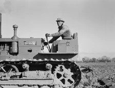 Cultivating potato-fields, west side of San Joaquin Valley, California, 1939. Creator: Dorothea Lange