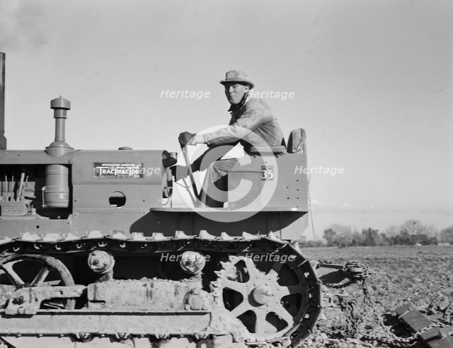 Cultivating potato-fields, west side of San Joaquin Valley, California, 1939. Creator: Dorothea Lange.