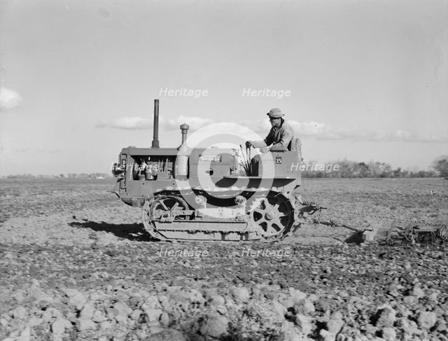 Cultivating potato-fields, west side of San Joaquin Valley, California , 1939. Creator: Dorothea Lange.