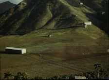 Cultivating tobacco at the Puerto Rico Reconstruction Administration..., Puerto Rico, 1941. Creator: Jack Delano