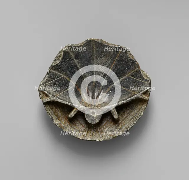 Cup in the Shape of a Shell, 1st century BC. Creator: Unknown.
