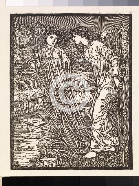 Cupid and Psyche - Psyche is set the Task of collecting the Golden Fleece from Venus' Flocks... Creator: Sir Edward Coley Burne-Jones.