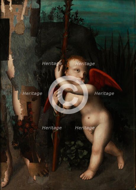 Cupid with a myrtle, before 1593. Artist: Luini, Aurelio (1530-1593)