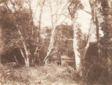 Cureuleo Meadow, 1853-56. Creator: John Dillwyn Llewelyn