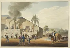 Curing-house and stills in Antigua, 1823. Creator: William Clark