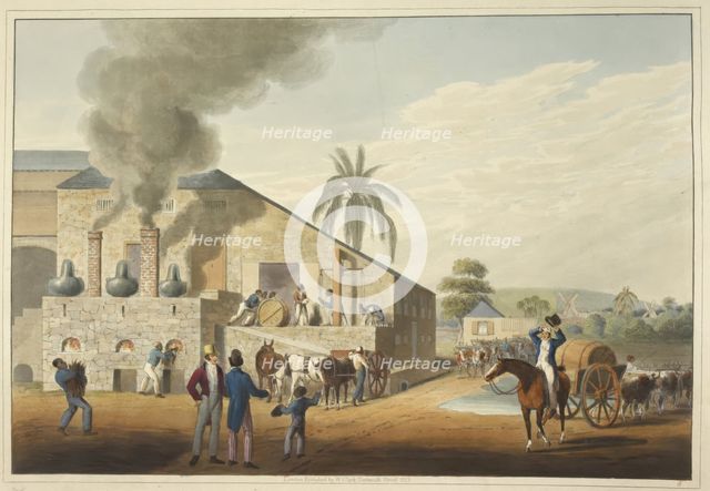 Curing-house and stills in Antigua, 1823. Creator: William Clark.