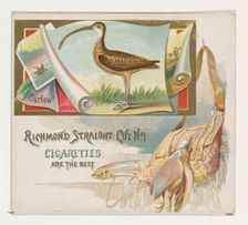 Curlew, from the Game Birds series (N40) for Allen & Ginter Cigarettes, 1888-90. Creator: Allen & Ginter
