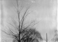 Curtiss Airplane - Tests of Curtiss Plane For Army, General Views, 1912. Creator: Harris & Ewing