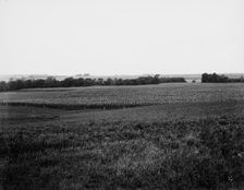 Curve to be straightened, near Oak Grove, Mo., between 1900 and 1905. Creator: Unknown