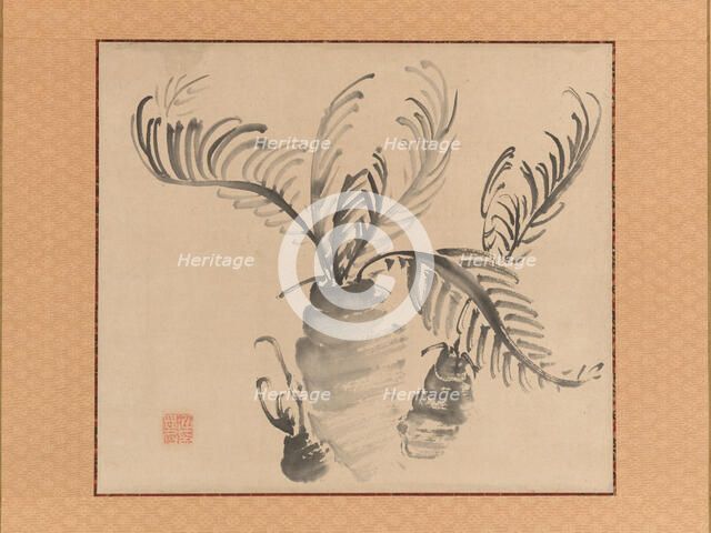 Cycad, mid-18th century. Creator: Ike no Taiga.