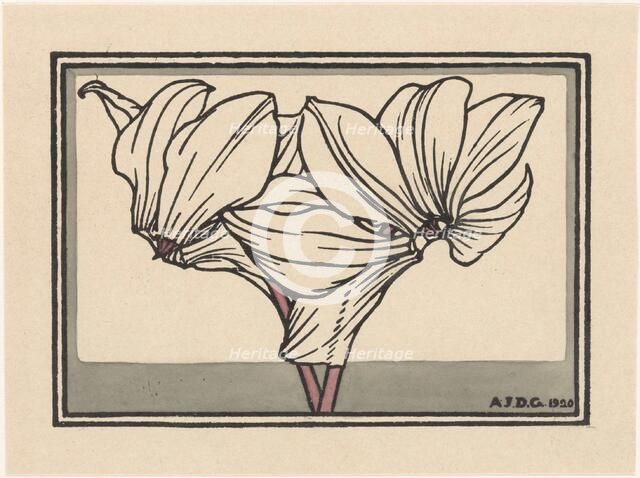 Cyclamen, 1920. Creator: Julie de Graag.