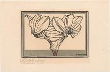 Cyclamen, 1920. Creator: Julie de Graag