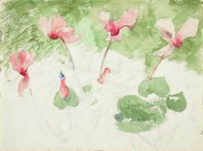 Cyclamen. Creator: Maria Wiik