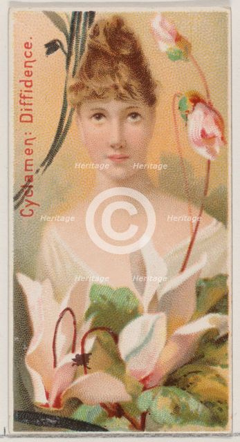 Cyclamen: Diffidence, from the series Floral Beauties and Language of Flowers (N75) for Du..., 1892. Creator: Donaldson Brothers.