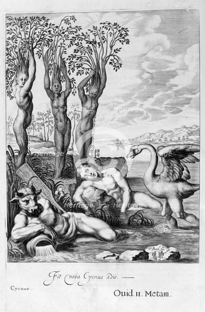 Cygnus transformed into a swan and Phaeton's sisters into poplars, 1655. Creator: Unknown.