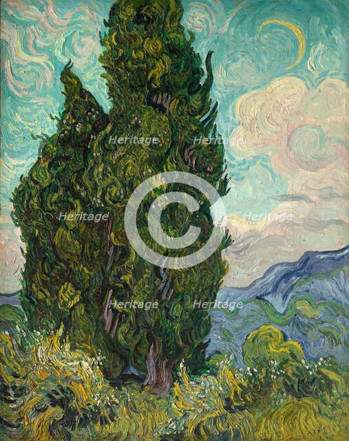 Cypresses. Artist: Gogh, Vincent, van (1853-1890)