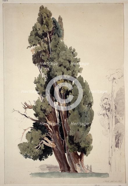 Cypresses in the park of the Villa d'Este in Tivoli, 1826. Creator: Ernst Fries.