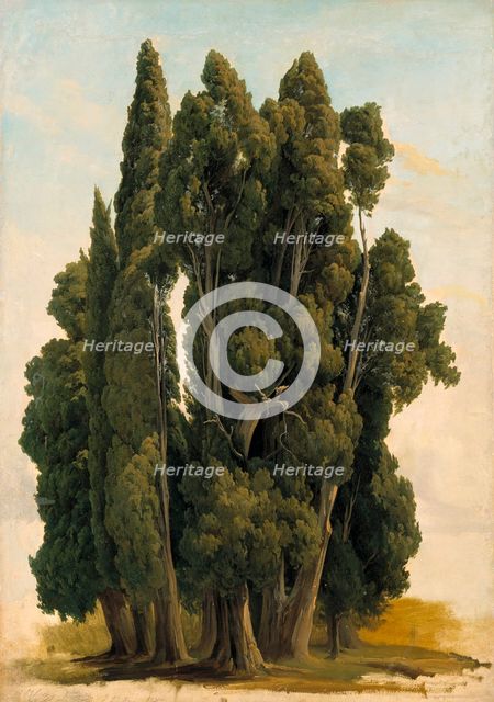Cypresses. Study, 1843. Creator: Gustav Wilhelm Palm.