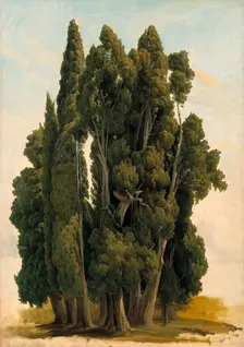 Cypresses. Study, 1843. Creator: Gustav Wilhelm Palm