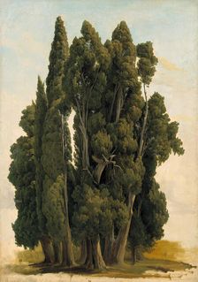 Cypresses. Study, 1843. Creator: Gustav Wilhelm Palm
