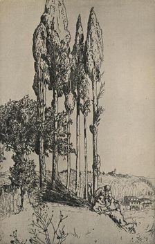 Cypress Trees Near Siena 1903. Artist: Charles Holroyd