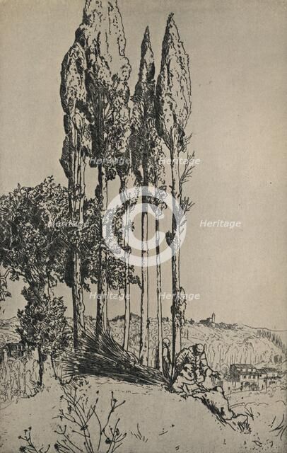 'Cypress Trees Near Siena', 1903. Artist: Charles Holroyd.