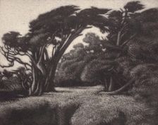 Cypress Bower, 1920. Creator: Ernest Haskell