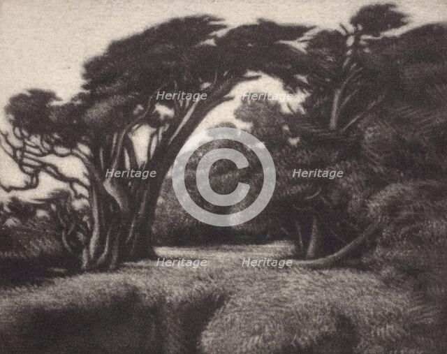 Cypress Bower, 1920. Creator: Ernest Haskell.