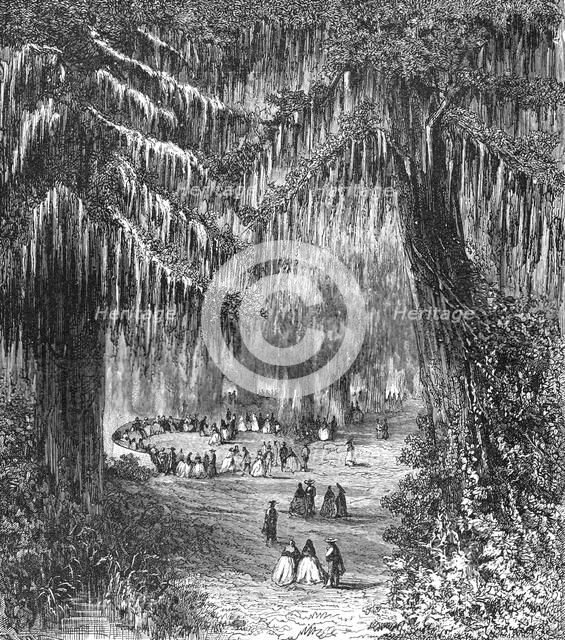 'Cypress Gardens of Chapultepec; A Ride Round the Valley of Mexico', 1875. Creator: Unknown.