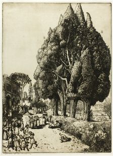 Cypress Grove, 1904. Creator: Donald Shaw MacLaughlan